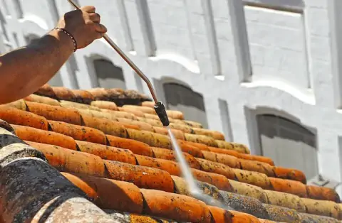 Nettoyage de toitures - Torcenay